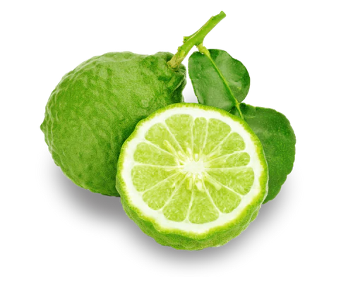 Bergamot