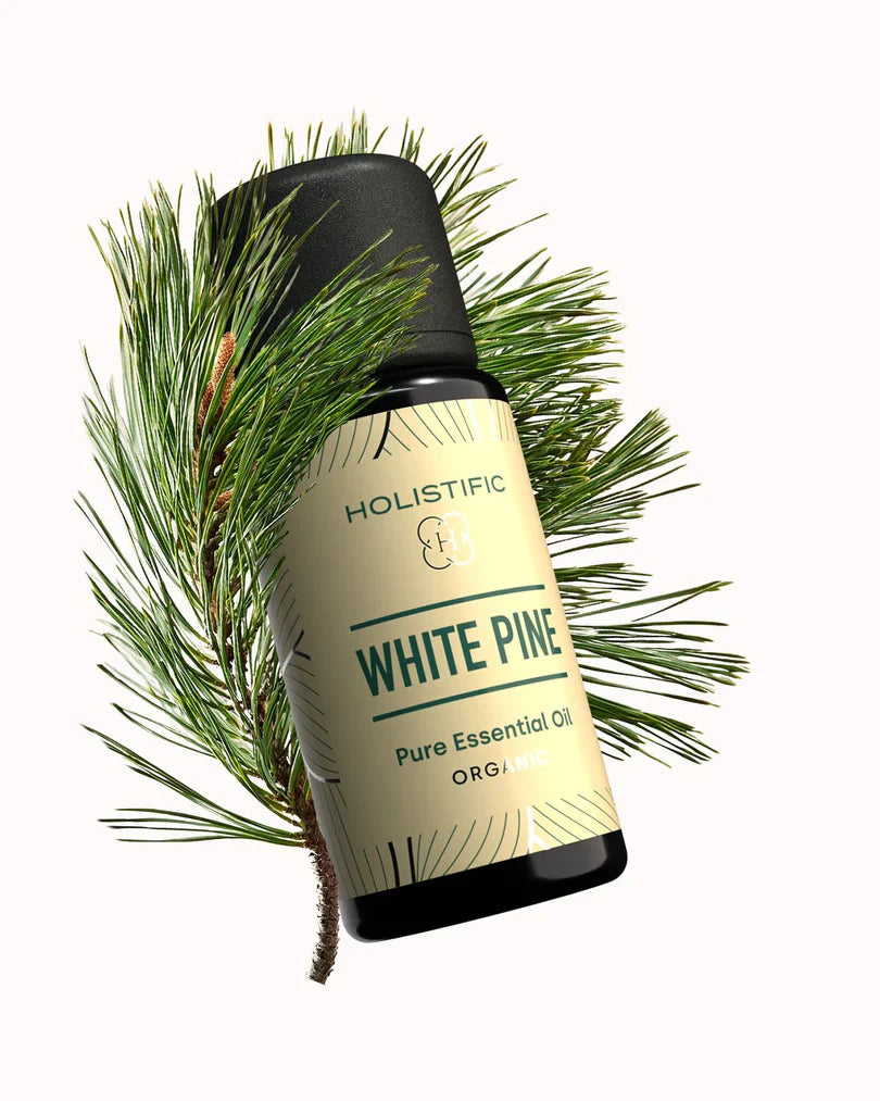 Holistific Borovice bílá - esenciální olej
