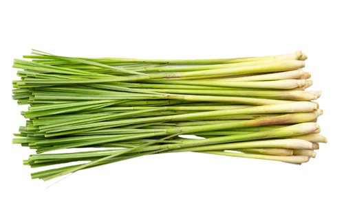 Citronella