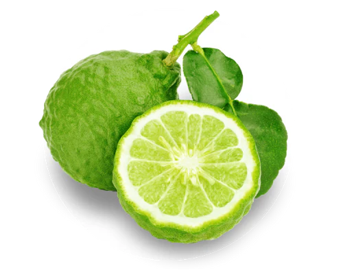Limetka